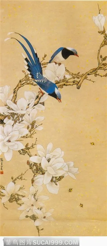 玉兰绶带图