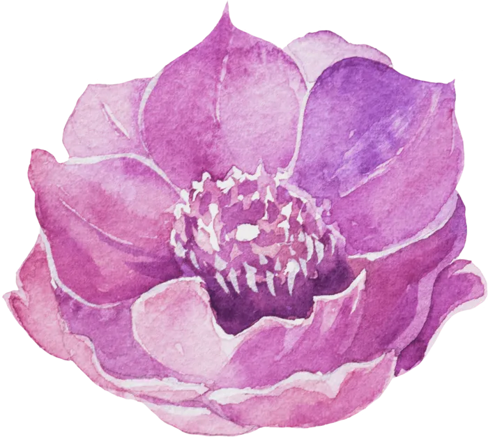 鲜花玫瑰免扣素材