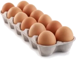 鸡蛋一板素材现代农业