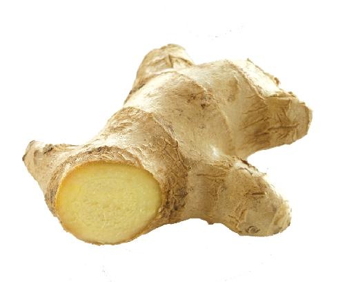 生姜 PNG免抠(500x408)