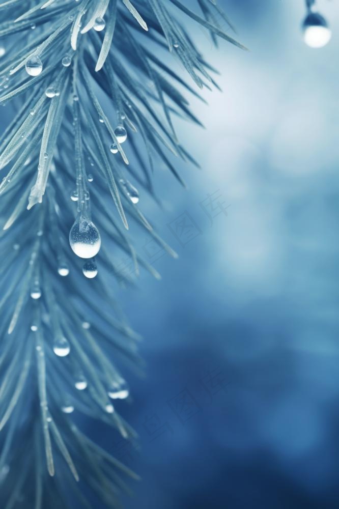 冰雪枝叶蓝色背景