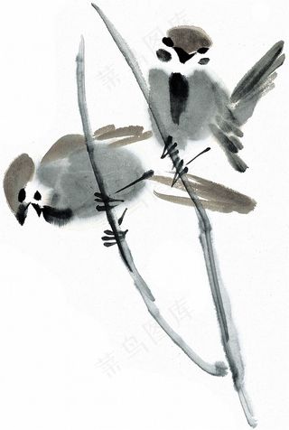 国画鸟中国画jpg素材