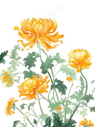 黄色菊花水墨画茶壶重阳节元素免抠