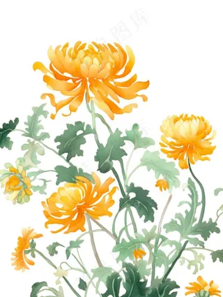 黄色菊花水墨画茶壶重阳节元素免抠