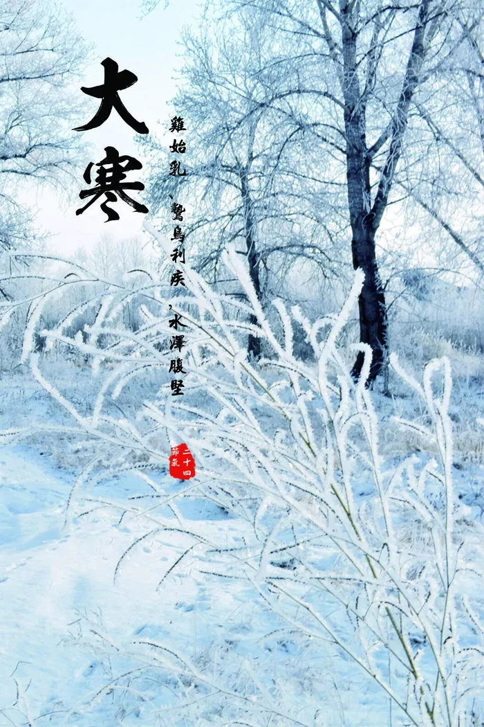 24二十四节气传统节日大寒宣传活动海报插画合集psd设计素材模板psd模版下载