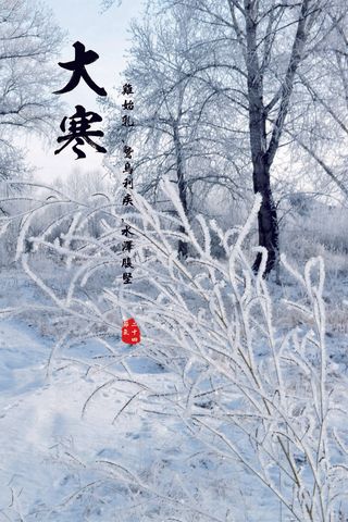 24二十四节气传统节日大寒宣传活动海报插画合集psd设计素材模板