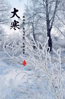 24二十四节气传统节日大寒宣传活动海报插画合集psd设计素材模板 24二十四节气传统节日大寒宣传活动海报插画合集psd设计素材模板