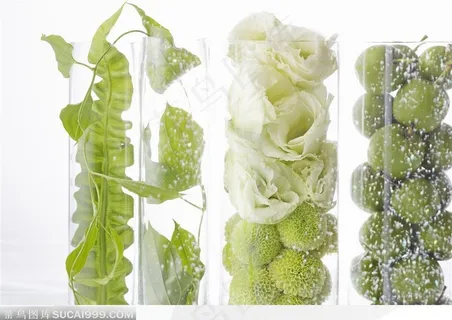 玻璃杯里的叶、花和果