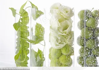 玻璃杯里的叶、花和果