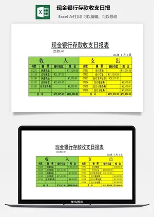 现金银行存款收支日报excel模板 现金银行存款收支日报excel模板预览图