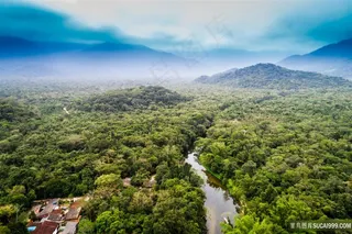 热带雨林风景图片