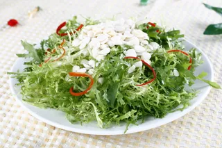 L00947杏仁苦菊 (3)