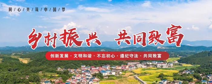 乡村振兴展板