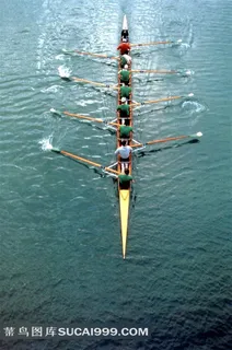 划船划艇比赛高清图片体育图片