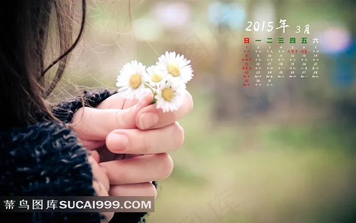2015日历3月唯美小花壁纸素材