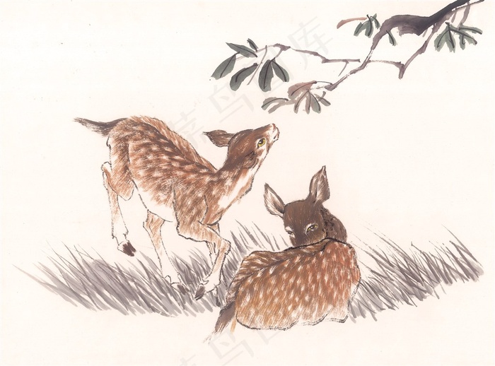 野生动物文化艺术图片素材