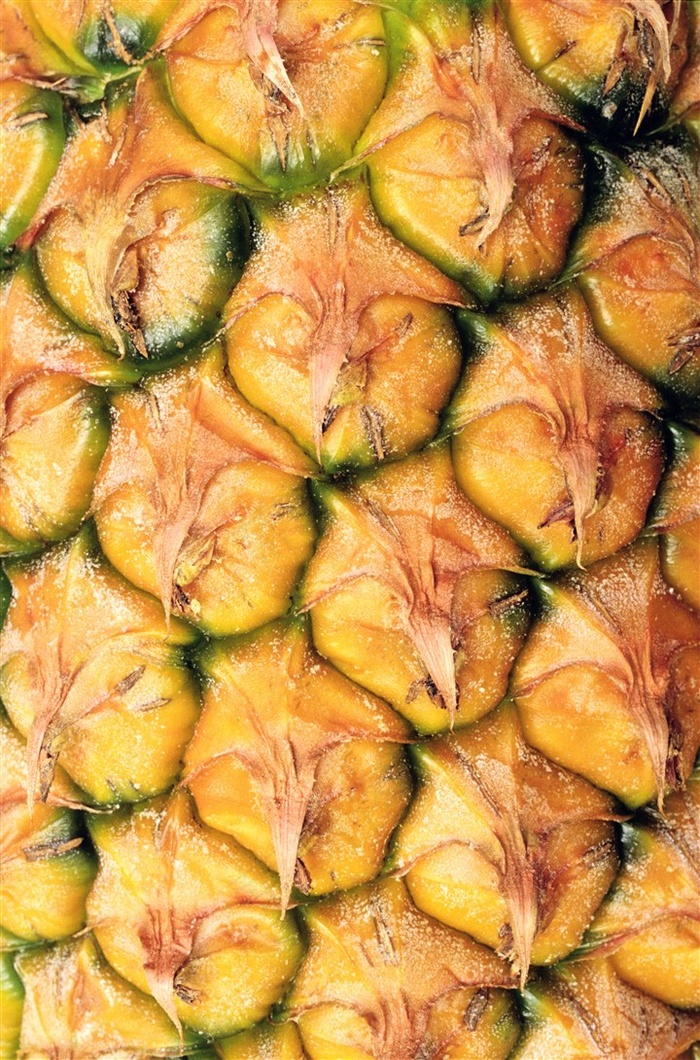 水果水果摄影北京风景