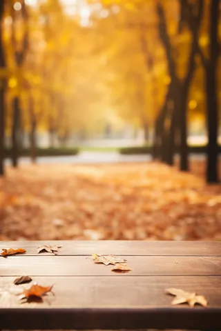 秋天的落叶落在公园*的一张木凳上摄影图