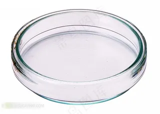 玻璃器皿摄影素材