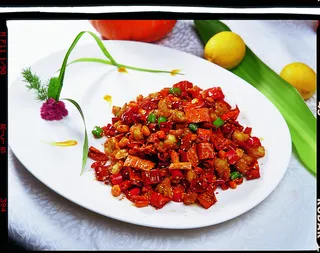 川菜湘菜高清菜谱 香辣掌中宝