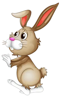 兔子先生卡通
