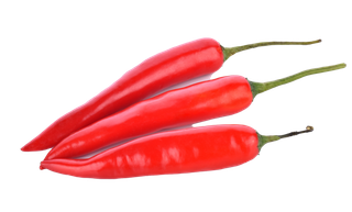 红辣椒 (10)超市商品白底图免抠实物摄影png格式图片透明底