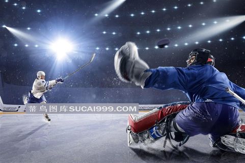 打曲棍球的运动员大图