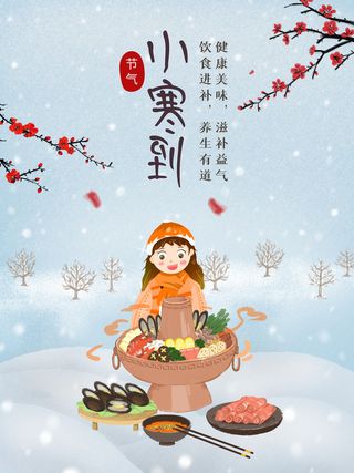 中国传统冬天小寒祝福24二十四节气节日宣传活动海报