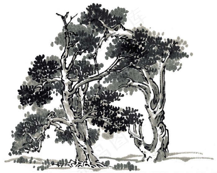 树工笔国画图片素材