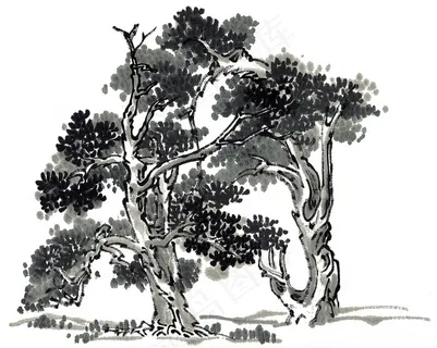 树工笔国画图片素材 树工笔国画图片素材