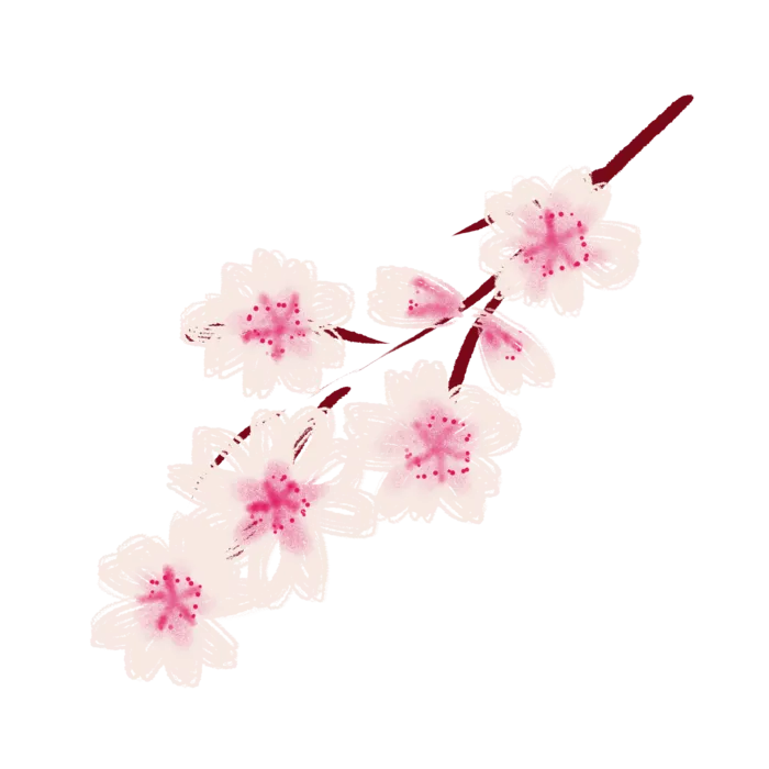 春天浪漫粉红色樱花手绘樱花梅花桃花花朵图片PNG免扣素材