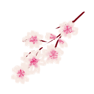 春天浪漫粉红色樱花手绘樱花梅花桃花花朵图片PNG免扣素材