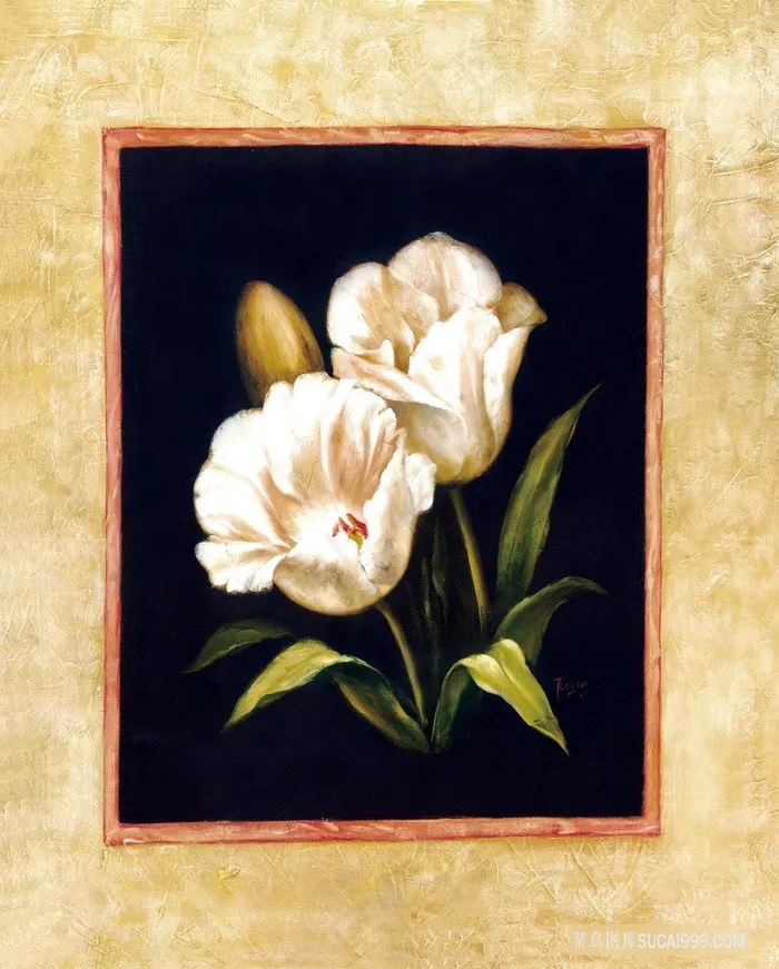 唯美花卉静物插画