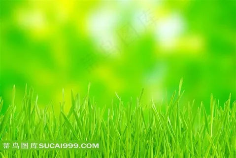 绿色草地青草素材风景图片下载