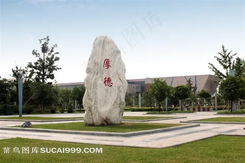 校园里的景观石