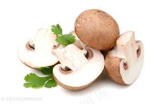 餐饮美食蘑菇高清图片
