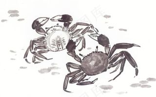 鱼虾蟹龟欣赏花摄影图片