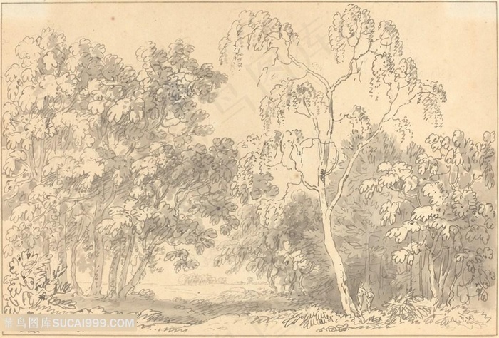 素描树林装饰画