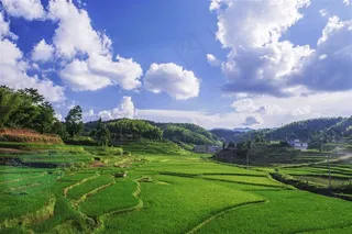 湖南紫鹊界梯田风景图