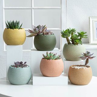 北欧简约绿植盆栽场景(37)