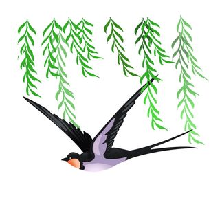 水彩手绘春季春天柳树柳条枝条小鸟小燕子元素PSD设计素材PNG图片