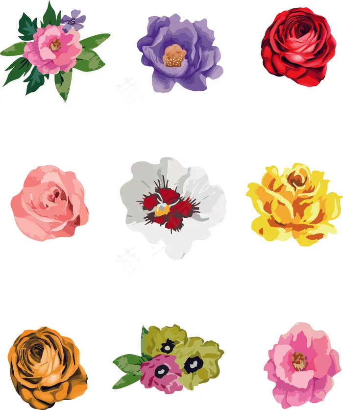 玫瑰花插画ai矢量模版下载