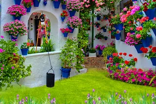 欧式花卉儿童背景