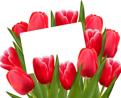 郁金香卡通标题框简笔谷雨