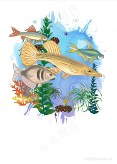 唯美水彩鱼海底插画