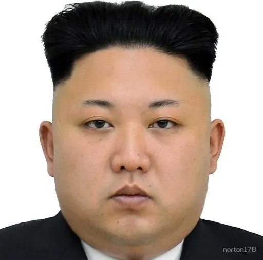 金正恩 PNG免抠(800x791)