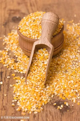 农作物粮食玉米