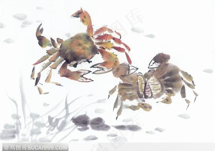 水墨画—螃蟹