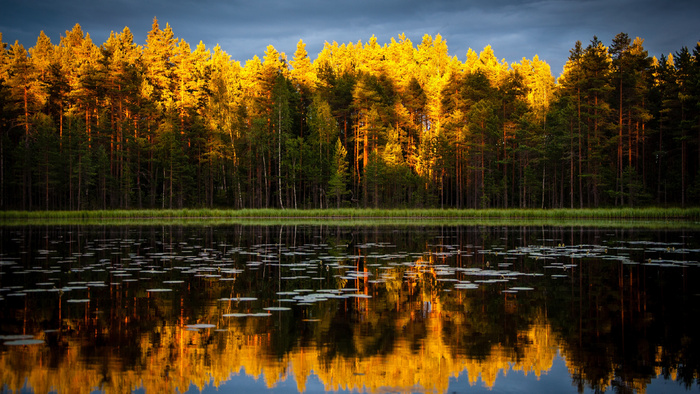 日出 太阳 天空 蓝天 白云 