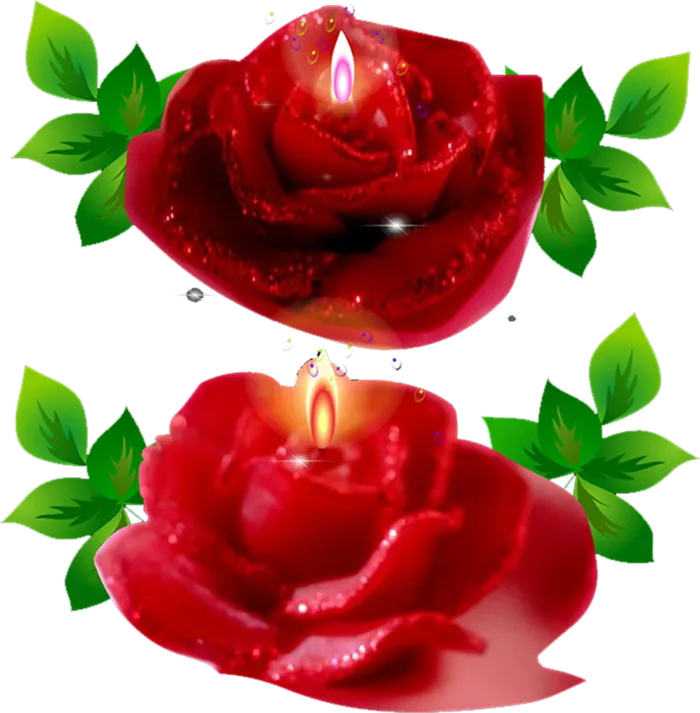 玫瑰花蜡烛
